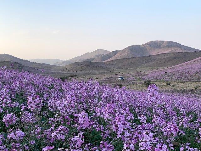 valley